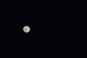 20201229Moon041.jpg
